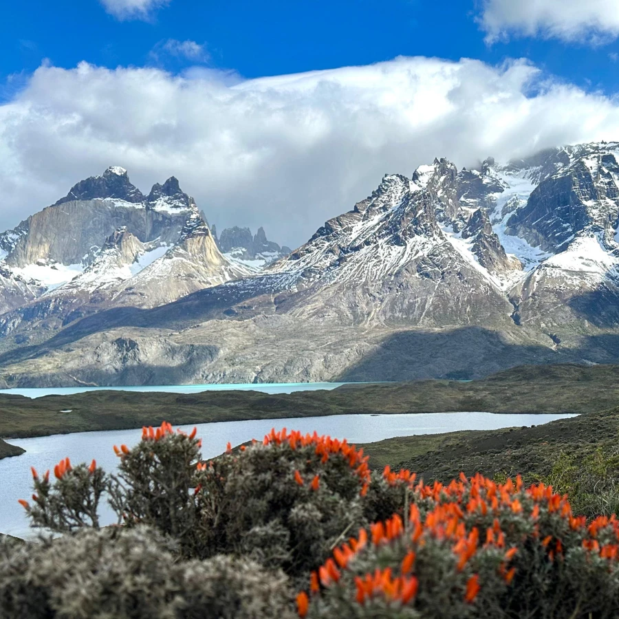 Full Day - Temaukel Tours G7