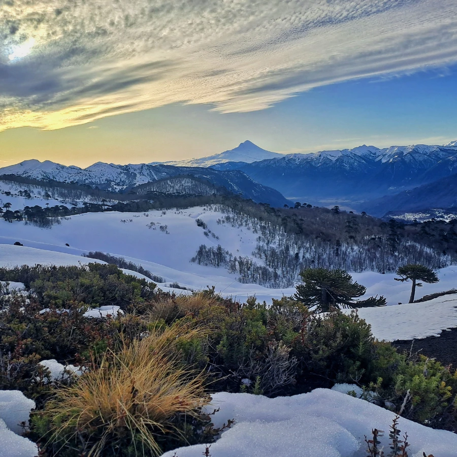 Volcan Sollipulli - Temaukel tours 1