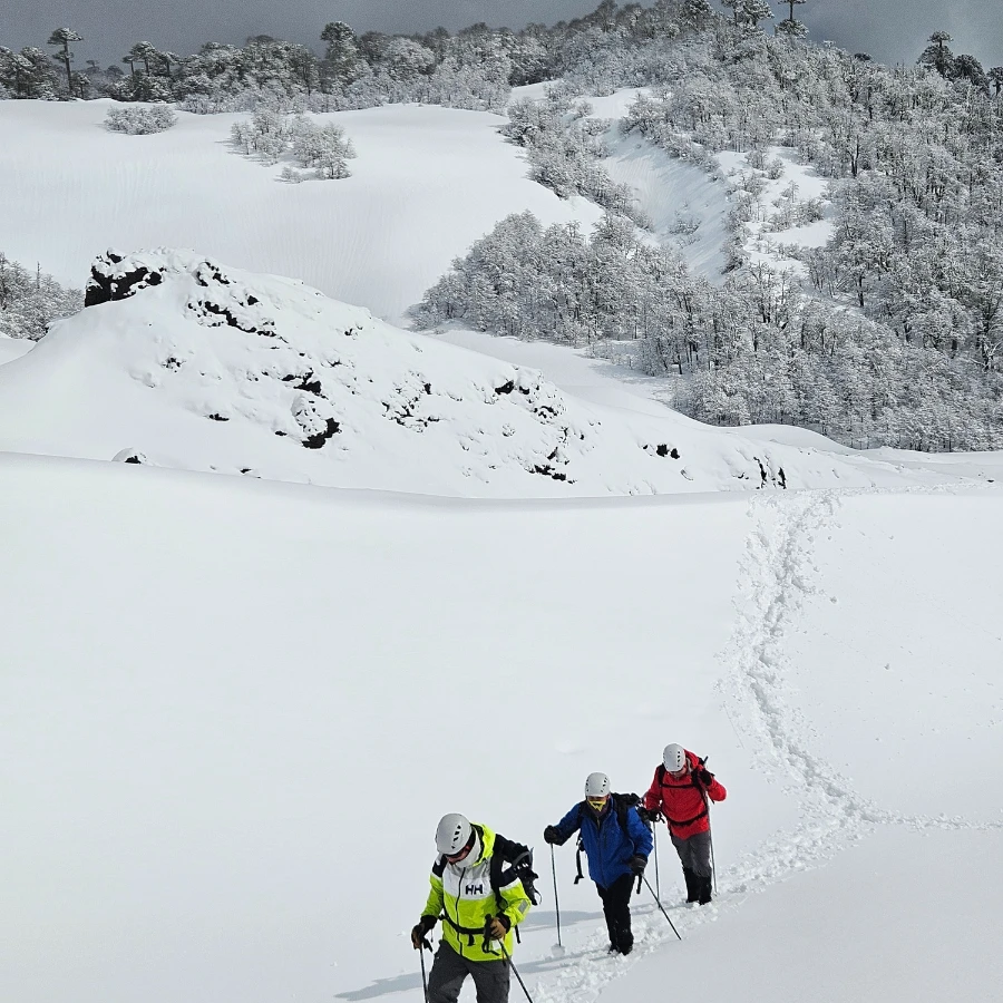Volcan Sollipulli - Temaukel tours 2
