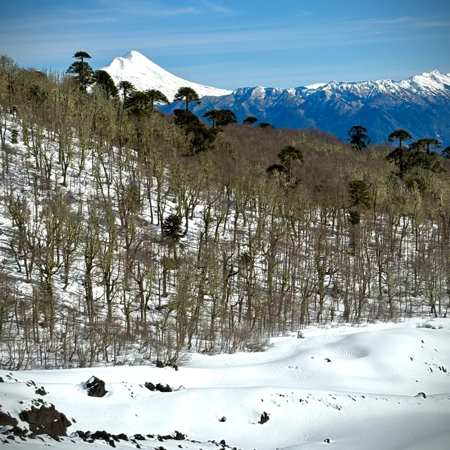 Volcan Sollipulli - Temaukel tours 6