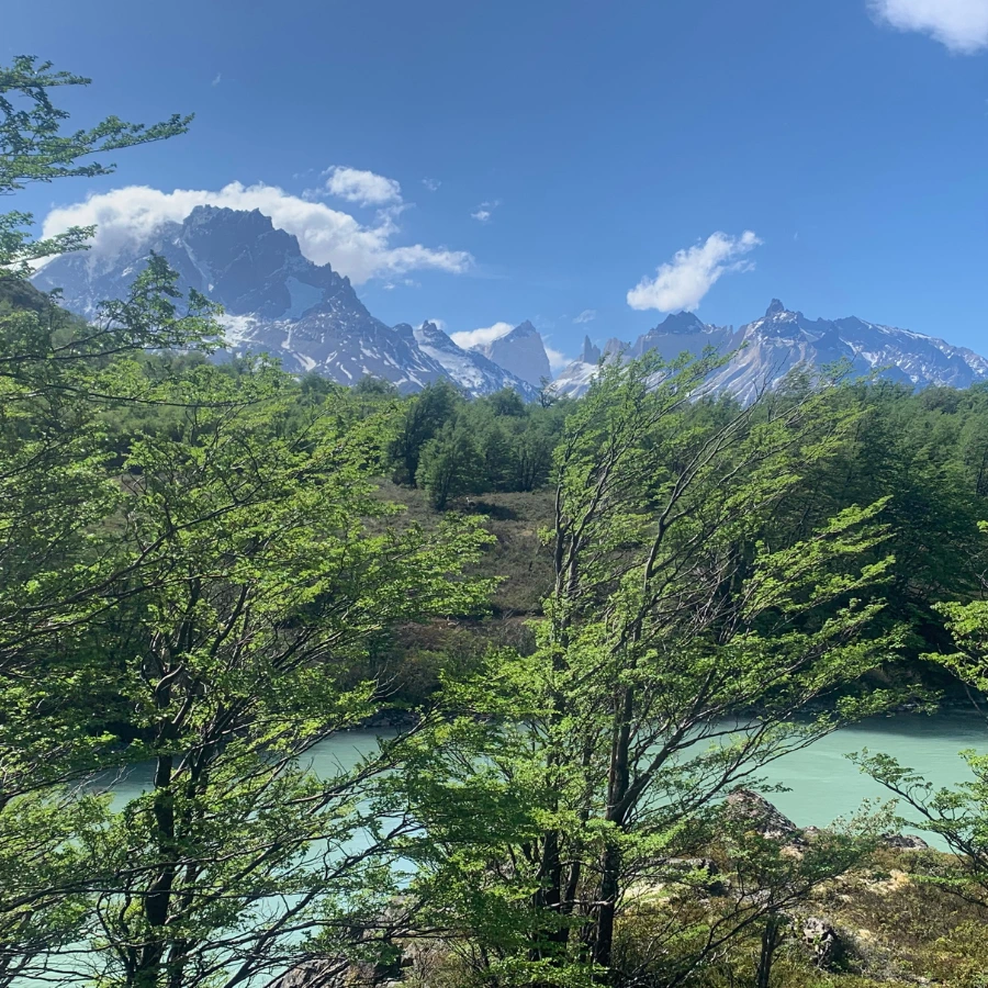 Western Hongos - Temaukel Tours 5
